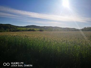 Agriturismo Vallerana