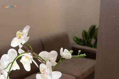 Residenza Montenevoso