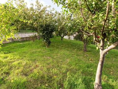 Homey Apartment in Campobasso with Courtyard