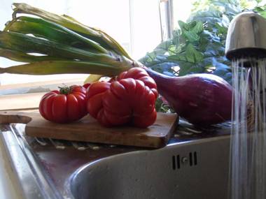 On Holiday Between Sky And Sea geco Di Campiglia pet friendly