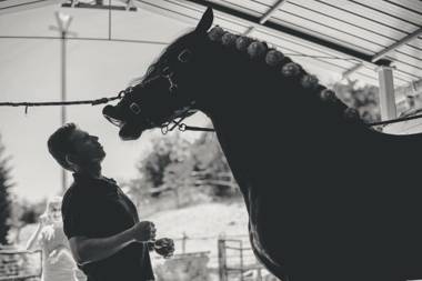 Az.Agr. Il Cavalleggero