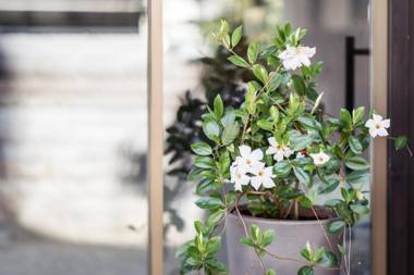 Felderer Boutiquehotel