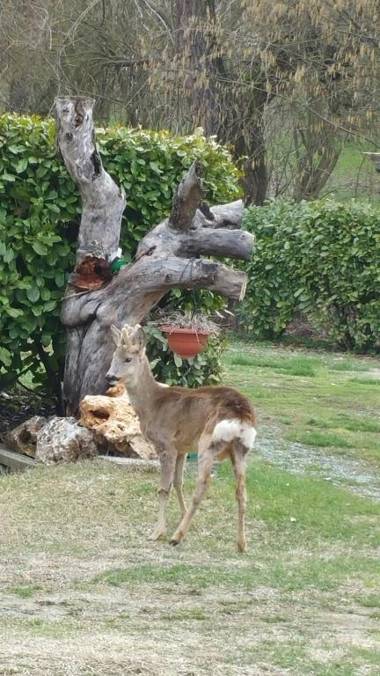 Bed & Bistrò Che Piasì