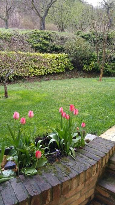 Bed & Bistrò Che Piasì