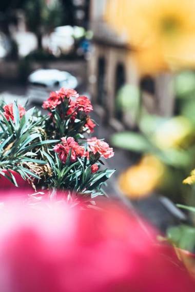 Il Regio Boutique Hotel