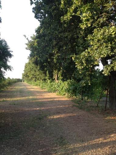 Agriturismo La Dondina