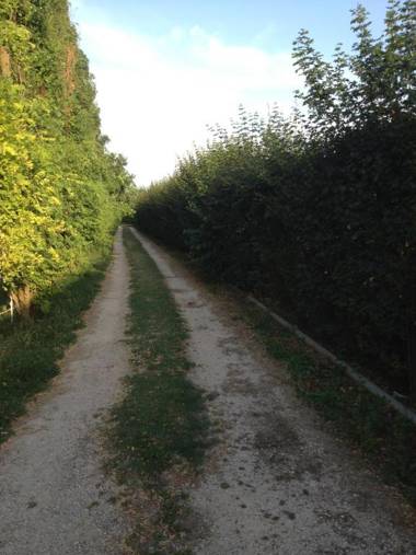 Agriturismo La Dondina