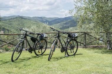 Special and Nice close to the Chianti