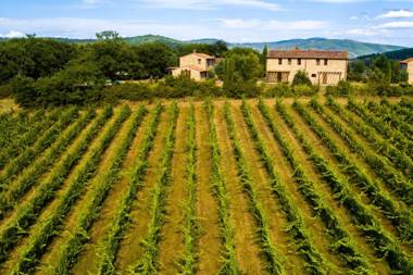 La Ginestra - I Borghi Della Selvaccia