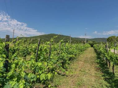 Authentic farm holiday with swimming pool pizza oven spacious garden and private terrace