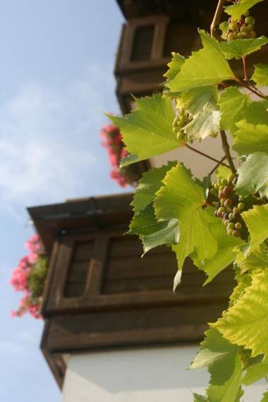 Biogasthaus Plonerhof