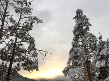 Oberprantschöllhof - Horse Mountain Stable