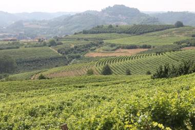 Foresteria Ristorante Conti Roero