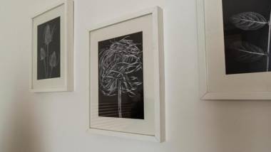 Italianway - Riva di Reno 47 B