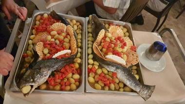 Venice Beach VB34 lifestyle 4S