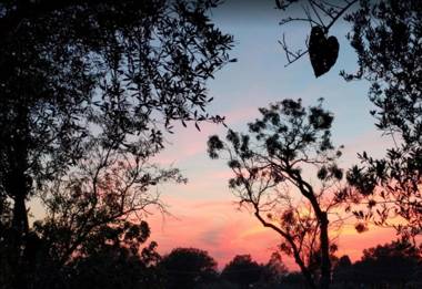 Agriturismo Il Poderino