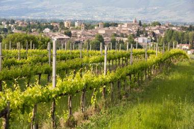 Hotel Palazzo Brunamonti