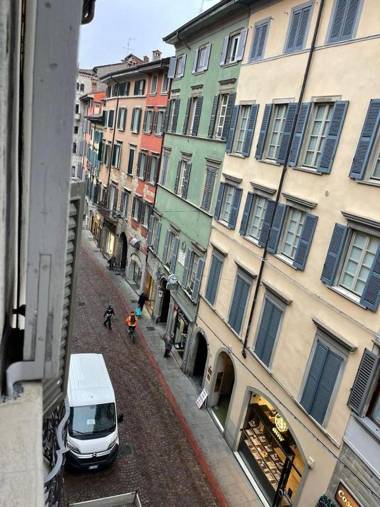 Gatto Bianco Bergamo 9