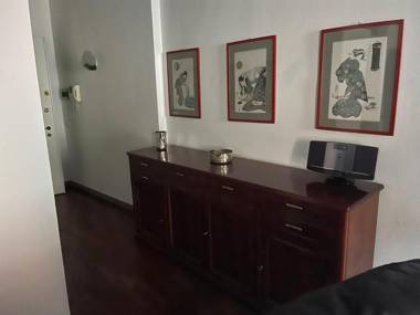 Gatto Bianco Bergamo 9