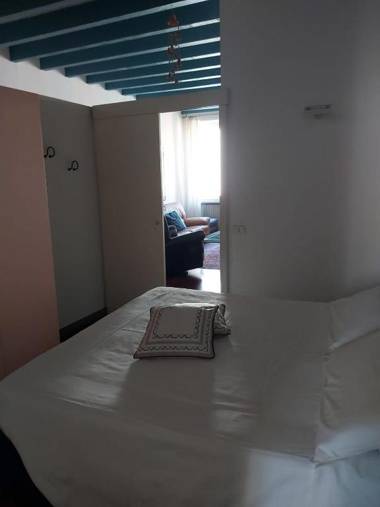 Gatto Bianco Bergamo 9