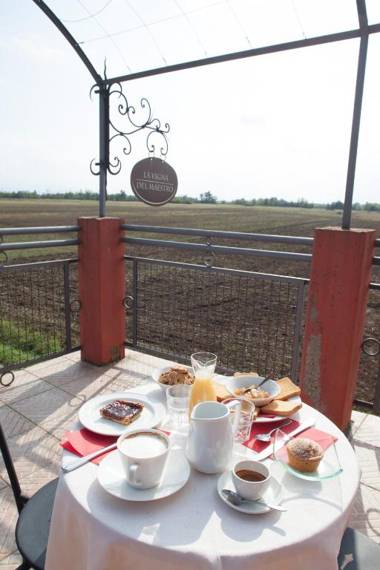 La Vigna Del Maestro