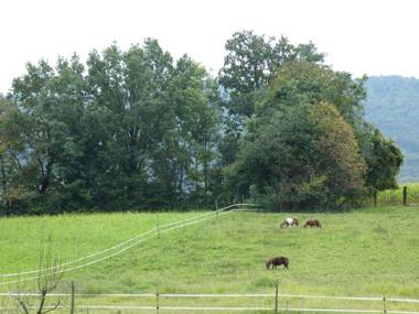 Agriturismo Al Bachero