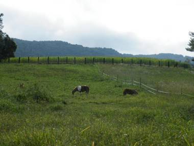 Agriturismo Al Bachero
