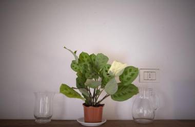 Agriturismo Casa de Bertoldi