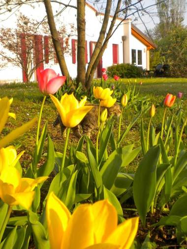 Agriturismo Il Magicorto