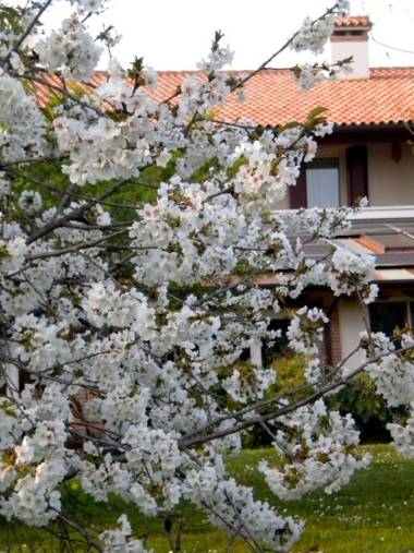 Agriturismo Il Magicorto