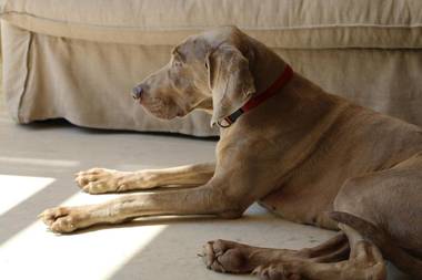 Rambaldi Apartments Edificio 7