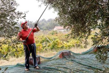 Agriturismo Agricamping GARDA NATURA