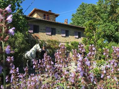 Farmhouse B&B Il Paretaio