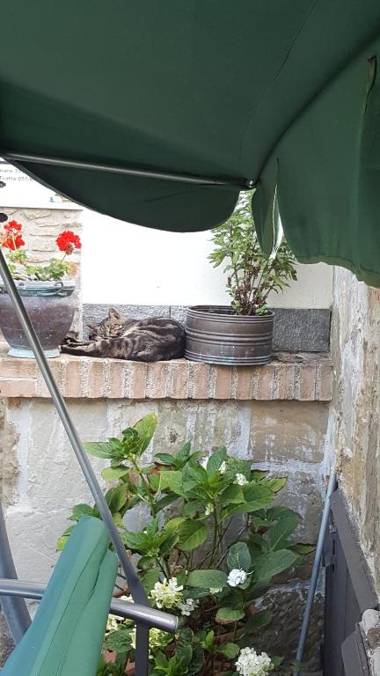 Casa Vacanze Borgo la Fratta