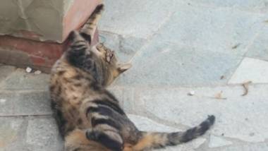 Casa Vacanze Borgo la Fratta