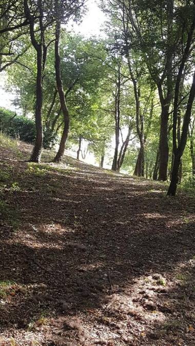 Casa Vacanze Borgo la Fratta