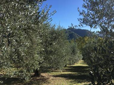 Agriturismo Tenuta La Fratta