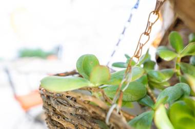 Morfeo charming Rooms & relax