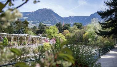 Ferienwohnung Stockrose NUSSERHOF