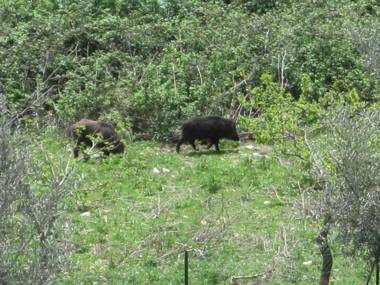 Agriturismo Villa Gabbiano