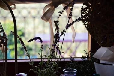 B&B Lavanda e Rosmarino