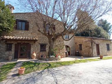 All'Ombra di San Damiano