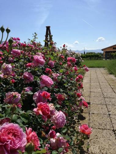 Il Fienile di Assisi