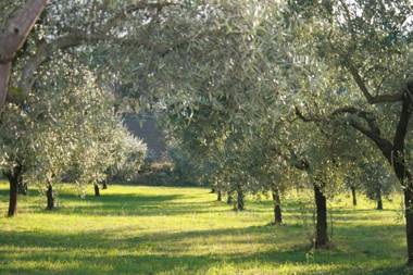 Casolare Santa Margherita