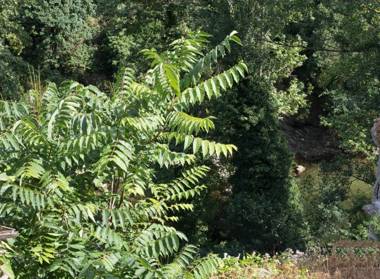 B&B Mini appartamento "Il Nido del Picchio"