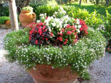 B&B Le Logge Di Sopra