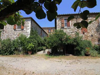 Exotic Farmhouse in Asciano with Swimming Pool