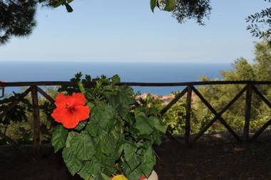 Agriturismo La Focazza