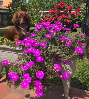 Bella Vita Guesthouse