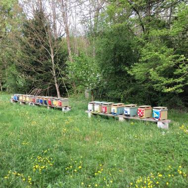 Agriturismo BioMatto